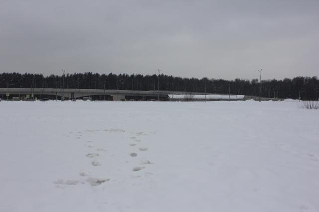Лот 4014776